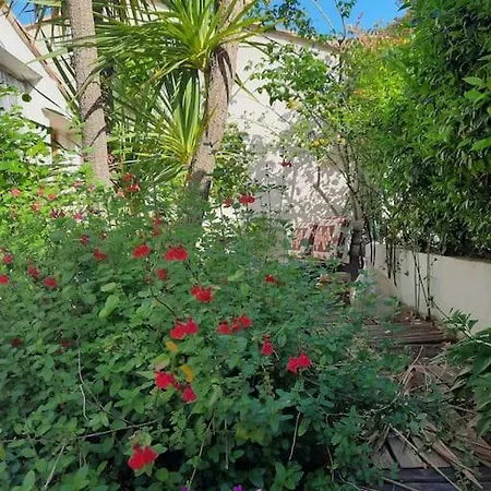 Vakantiehuis Maison Centre Jardin Et Proche